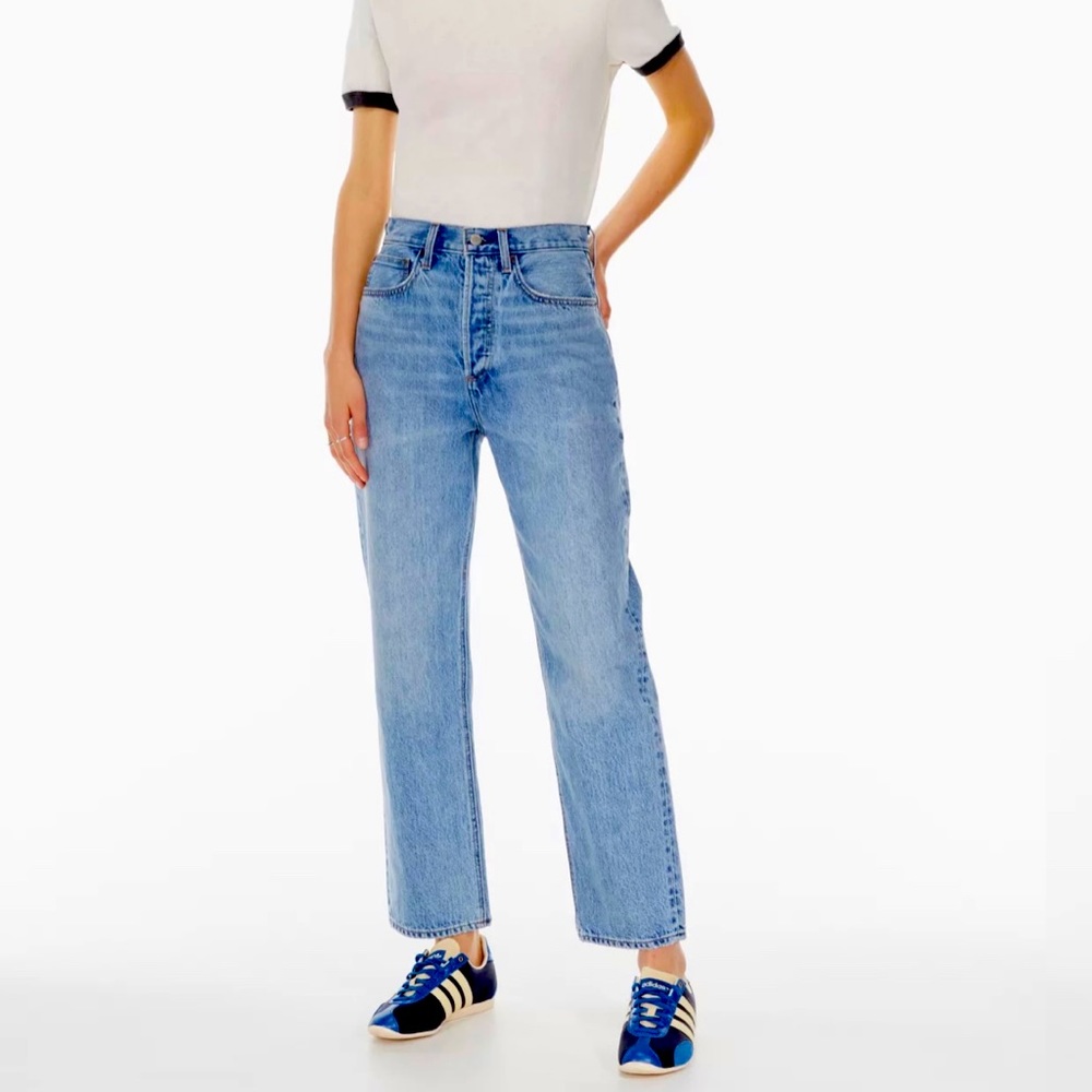 Aritzia Joni High Rise Pants